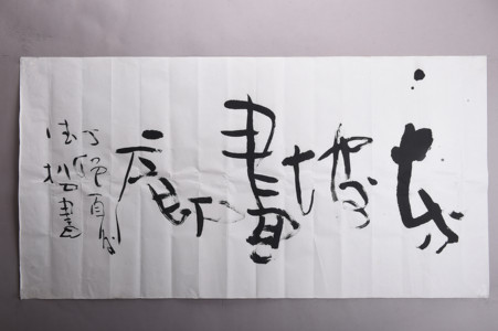 现代白德松草书“东坡画廊”横幅
