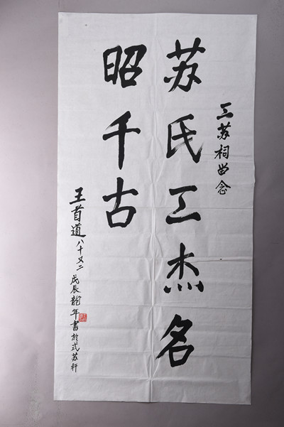 现代王首道行书赞三苏句条幅