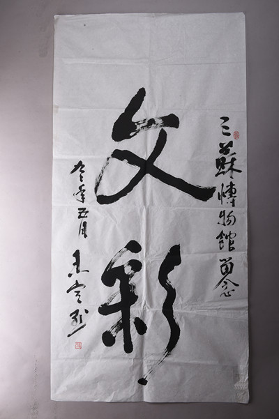 现代王定然行书文彩条幅
