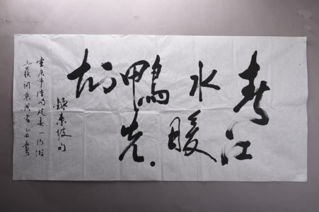 现代重庆市潼南建委行书东坡诗句横幅